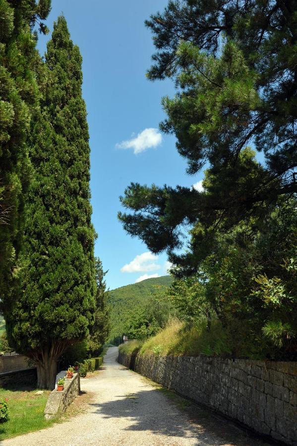 Villa La Colonica Londa Esterno foto