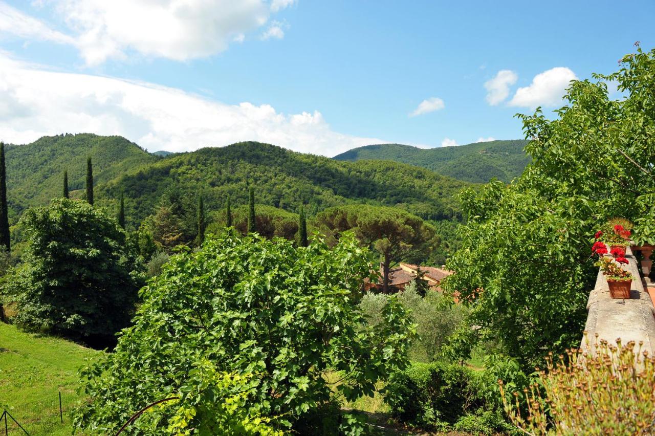 Villa La Colonica Londa Esterno foto