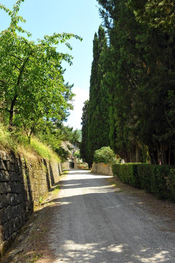 Villa La Colonica Londa Esterno foto