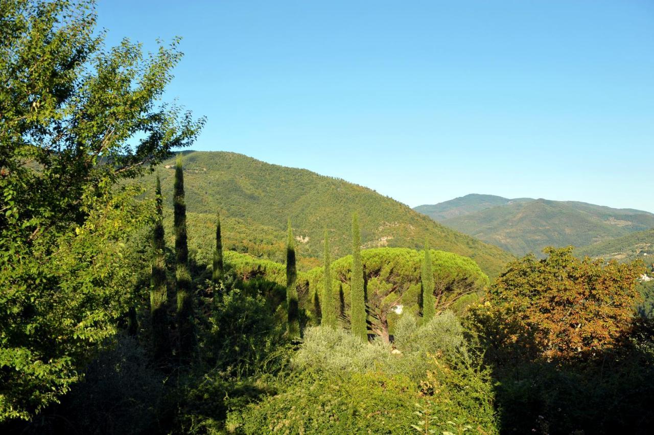 Villa La Colonica Londa Esterno foto